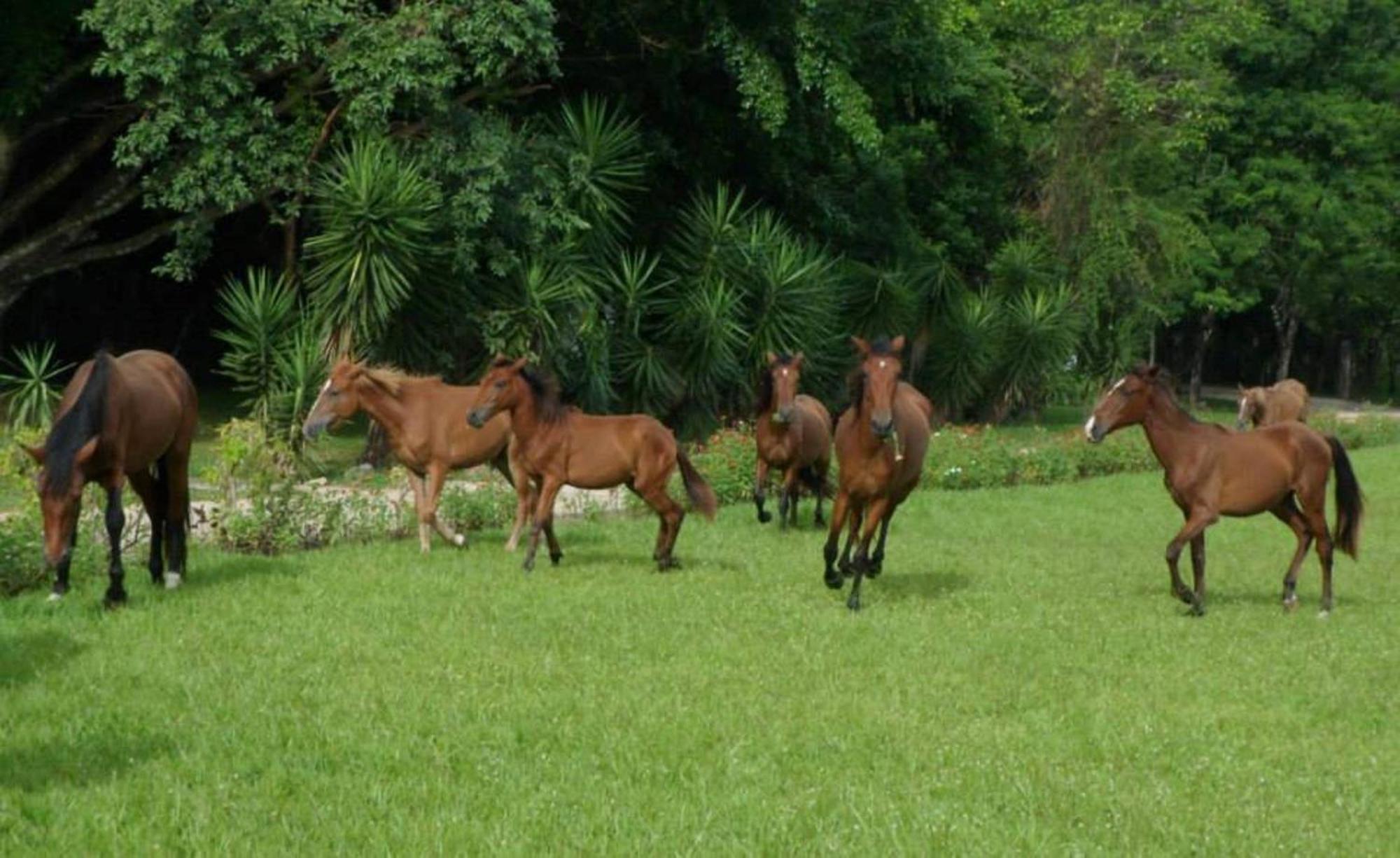 Finca Ixobel Exterior foto